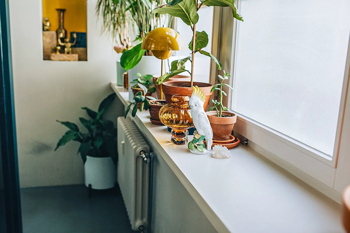 Bienvenue dans la chambre des merveilles