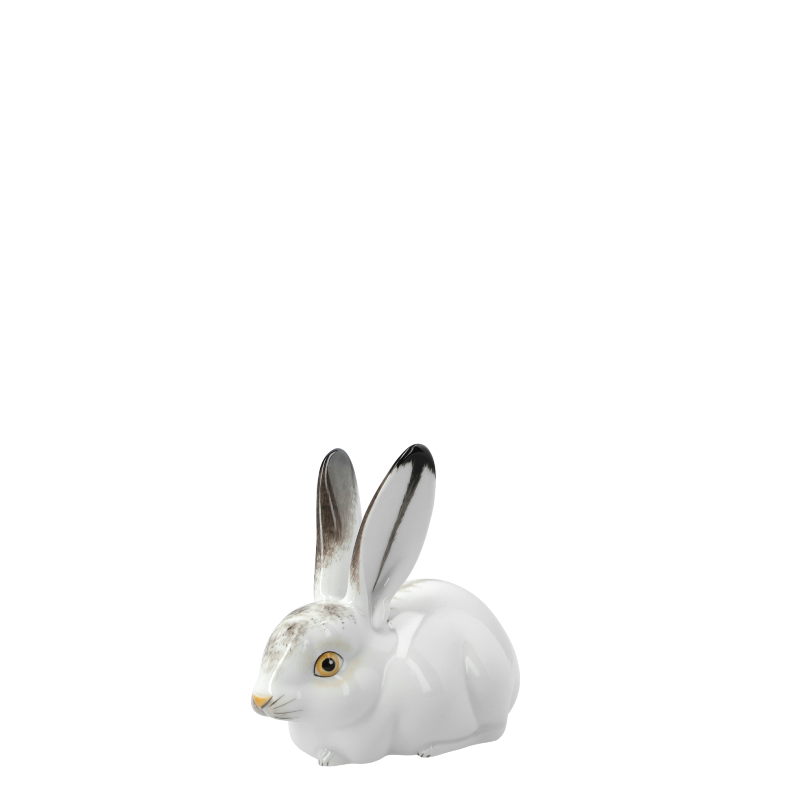 figure HARE lying