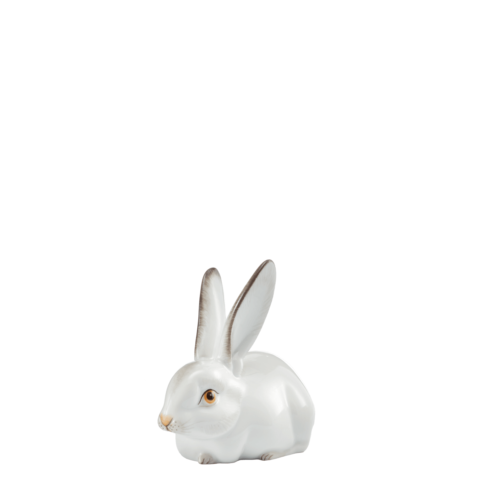 figure HARE lying