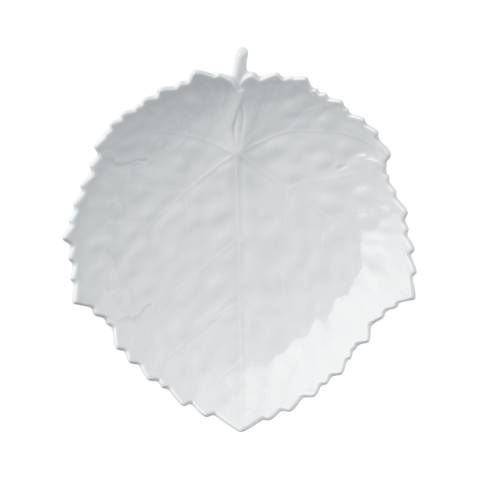 bowl BLATT, large