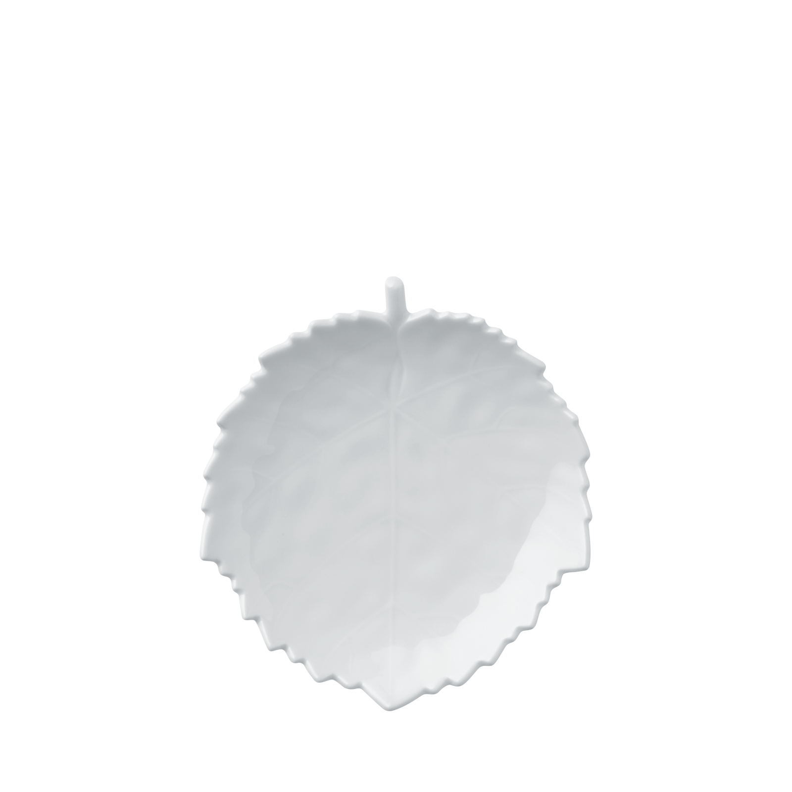 bowl BLATT, small