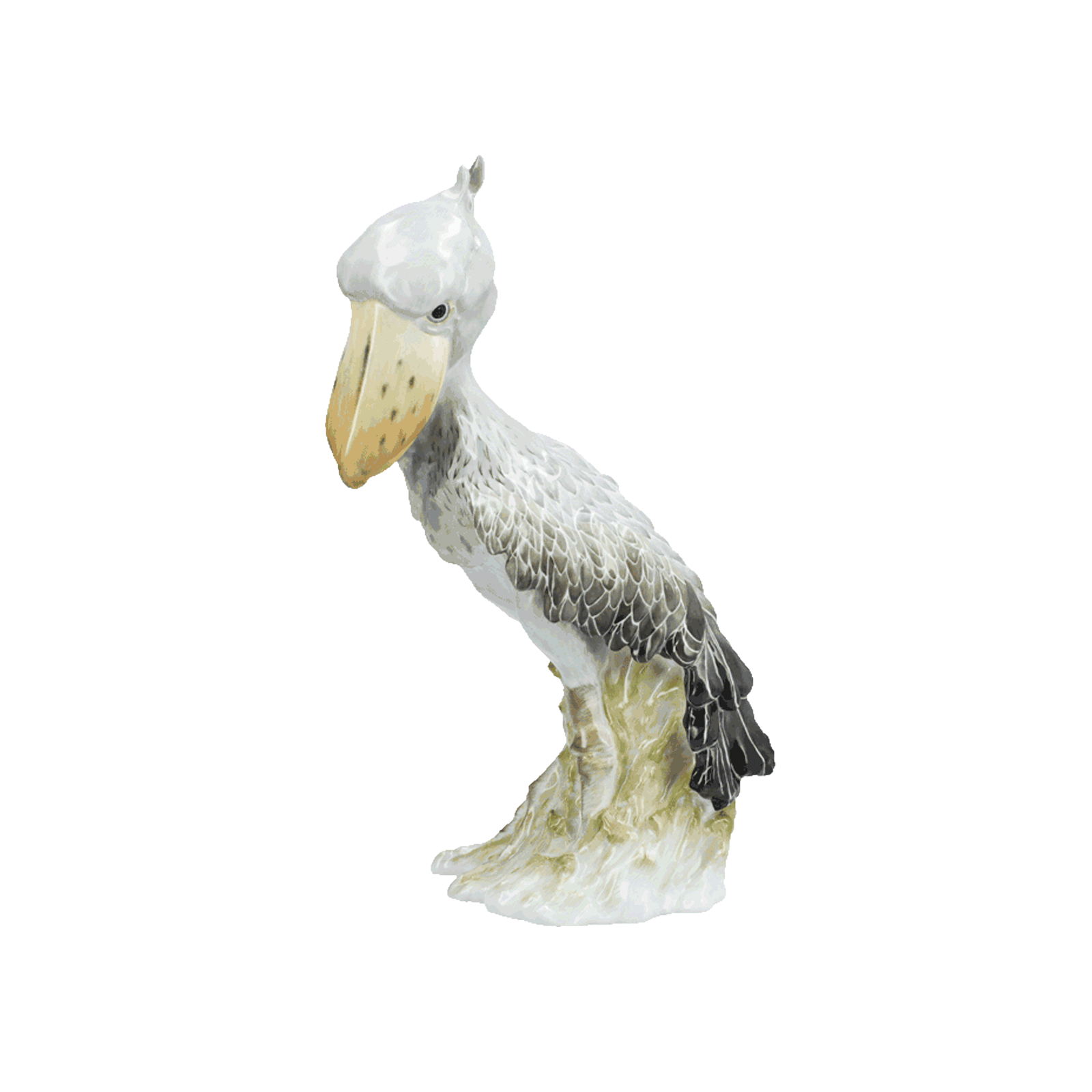 figure SCHUHSCHNABEL