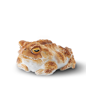 Figur KRÖTE